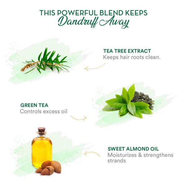 WOW Skin Science Green Tea & Tea Tree Shampoo – Best Shampoo for Oily Scalp & Dandruff Control - Image 4